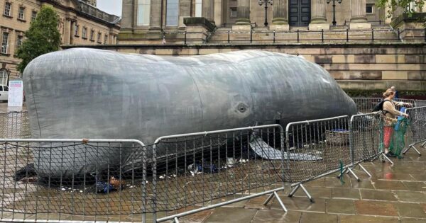 The-Whale-Event-Preston-Lancashire Inflatable whale at Preston's Flag Market in Lancashire